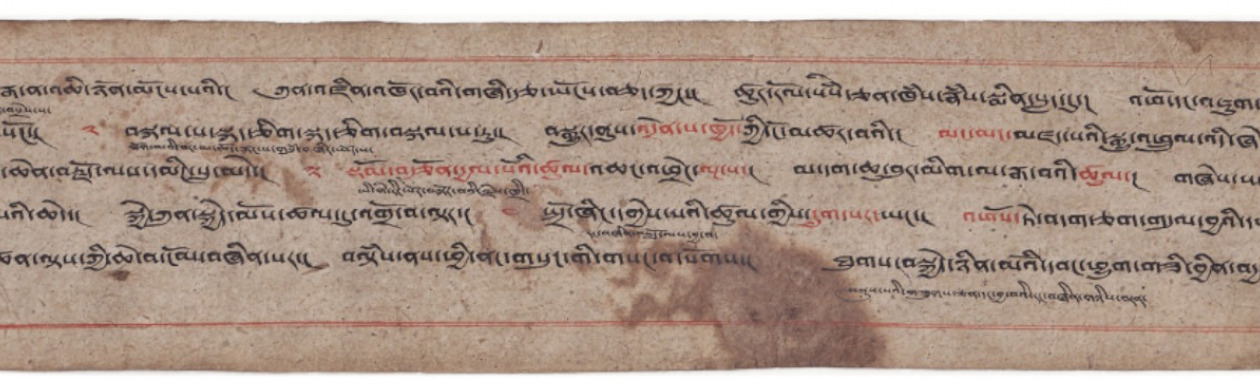 Manuscript of the Rna ba'i bcud len by Sde srid Sangs rgyas rgya mtsho